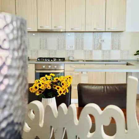 Apartment Joy Isho 46 Timisoara