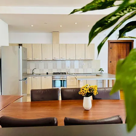 Apartment Joy Isho 46