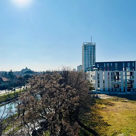 Joy Isho 46 * Timisoara